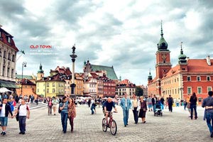 博洛尼亚主帅挑衅裁判，遭遇罚款处罚