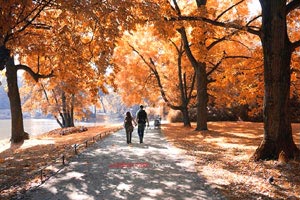 图卢兹奋勇向前，客场夺得三分胜利