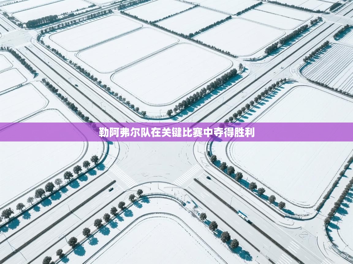 勒阿弗尔队在关键比赛中夺得胜利