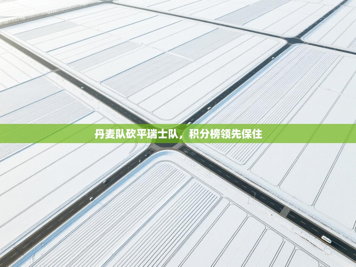 丹麦队砍平瑞士队，积分榜领先保住  第1张