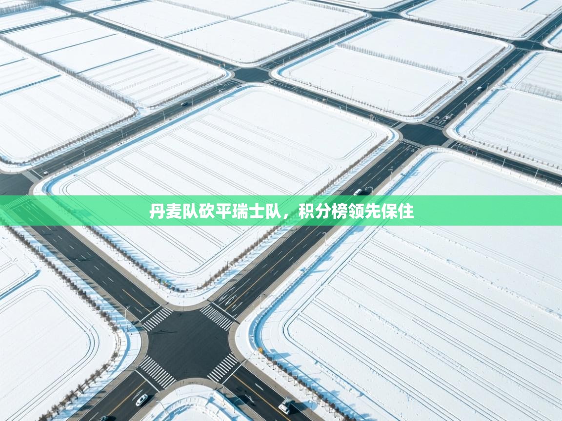 丹麦队砍平瑞士队，积分榜领先保住  第2张