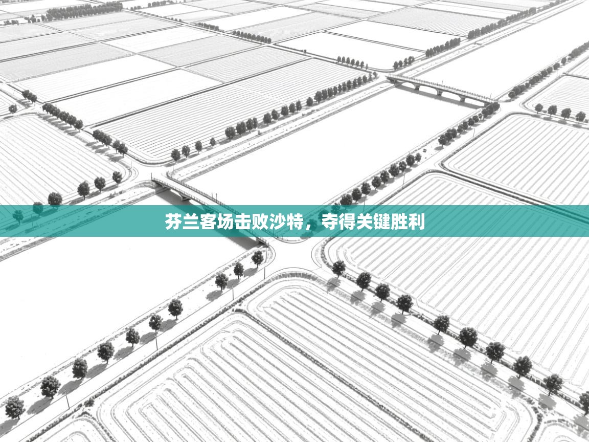 芬兰客场击败沙特,夺得关键胜利