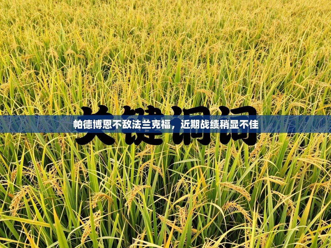 帕德博恩不敌法兰克福,近期战绩稍显不佳 第2张